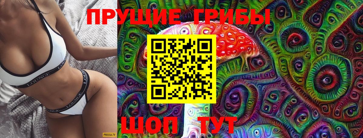 Псилоцибиновые грибы прущие грибы Тосно